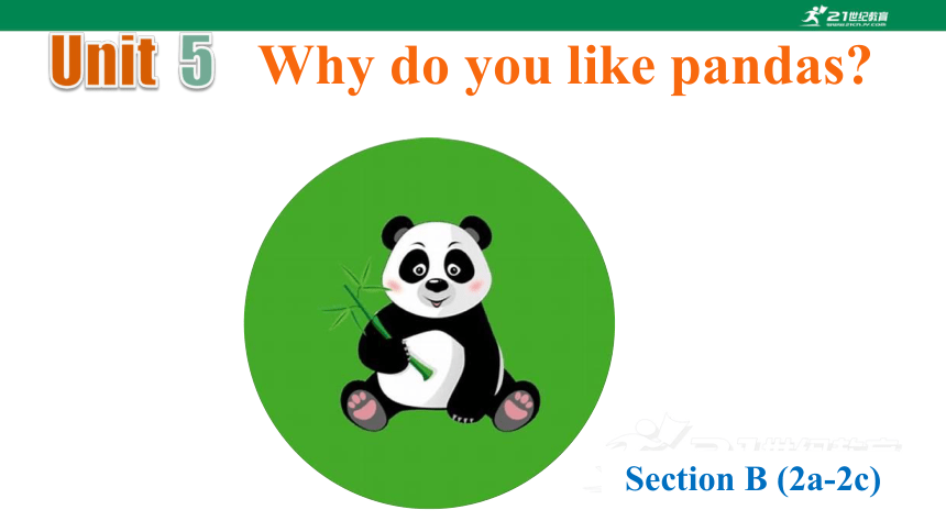 人教新目标七下Unit 5 Why do you like pandas?Section B 2a-2c课件+学习任务单+课后练习-21世纪教育网