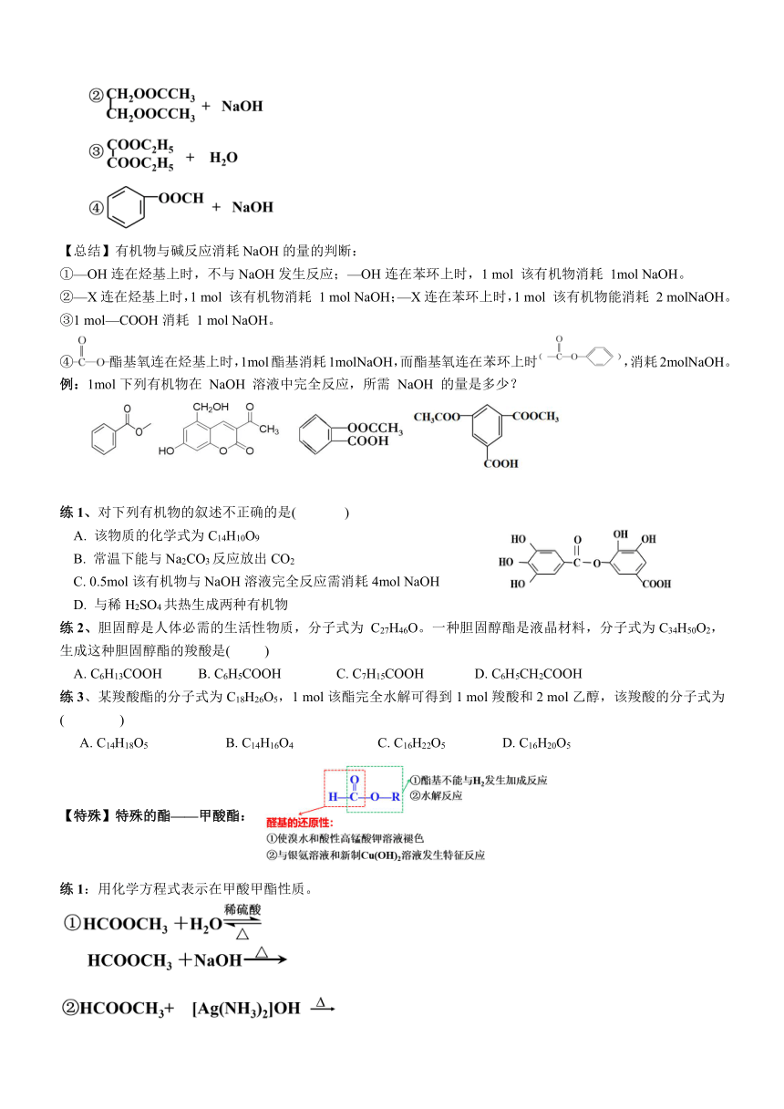 3.4.2 羧酸衍生物 导学案（无答案）  高二化学人教版（2019）选择性必修3