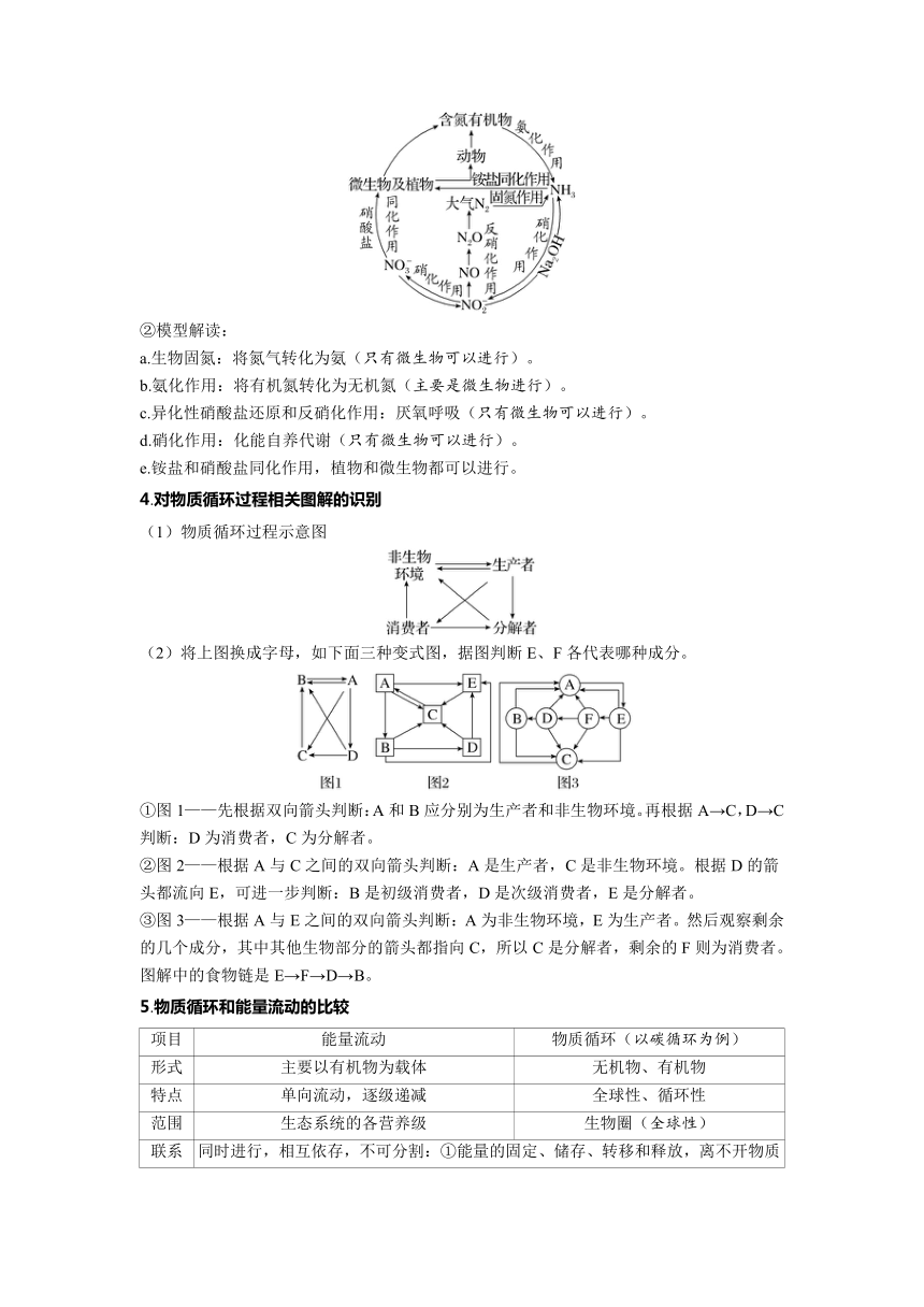 2023-2024学年浙科版选择性必修2 第三章第四节　生态系统中的物质能被循环利用 学案（含解析）