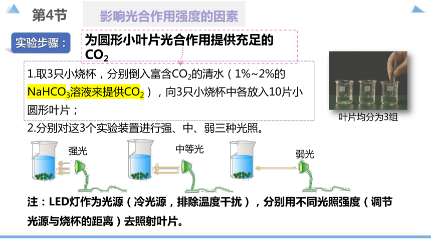 5.4光合作用与能量转化（第三课时）（共60张PPT）-人教版必修一