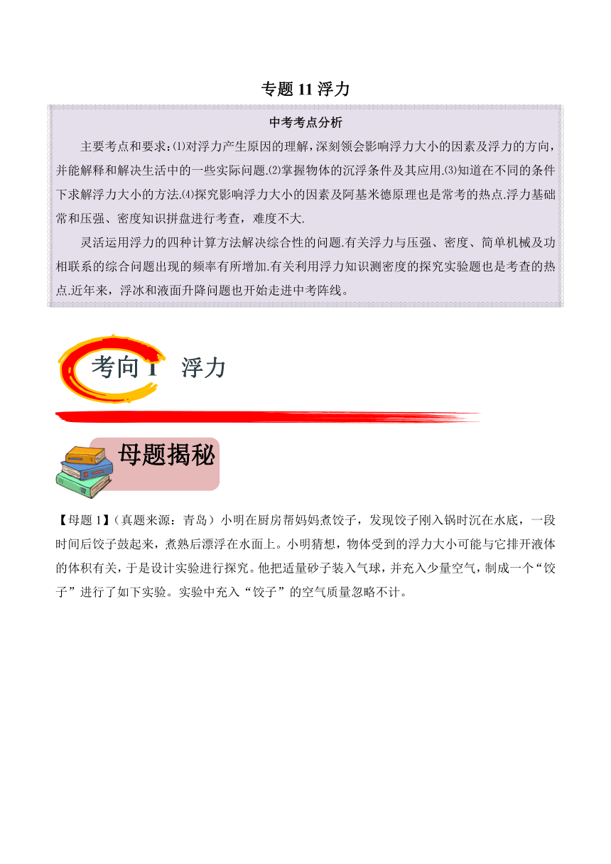 2024年中考物理二轮复习专题11 浮力（精讲）（含解析）