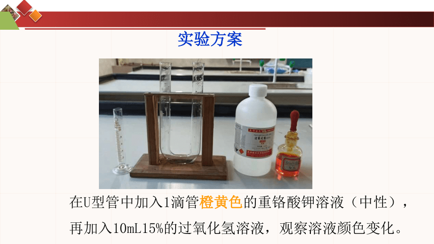 2.1.4催化剂(共21张PPT)---2023-2024学年高一下学期人教版（2019）高中化学选择性必修1