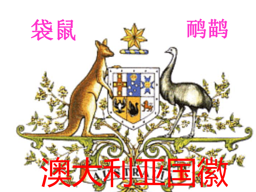 8.4澳大利亚 课件(共29张PPT)人教版地理七年级下册