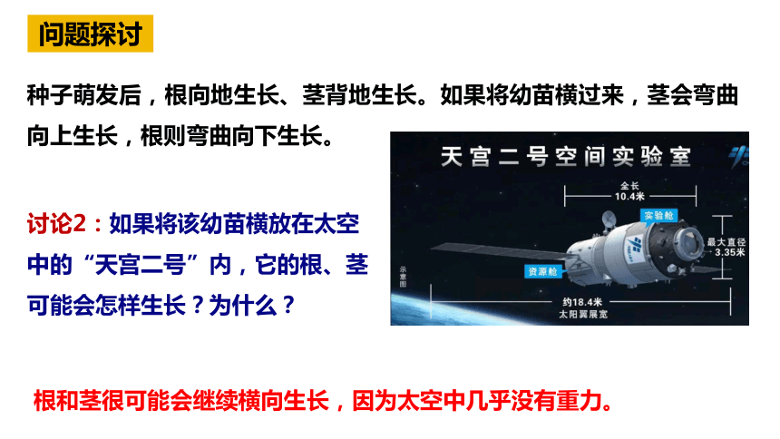 5.4环境因素参与调节植物的生命活动课件(共65张PPT)2023-2024学年高二上学期生物人教版选择性必修1