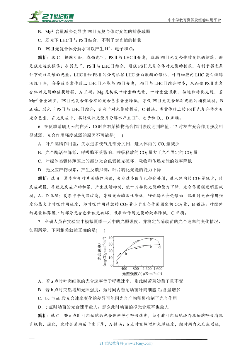 人教生物重难强化训练：专题2 细胞的代谢（2） 影响光合作用和细胞呼吸的因素分析及应用（含解析）