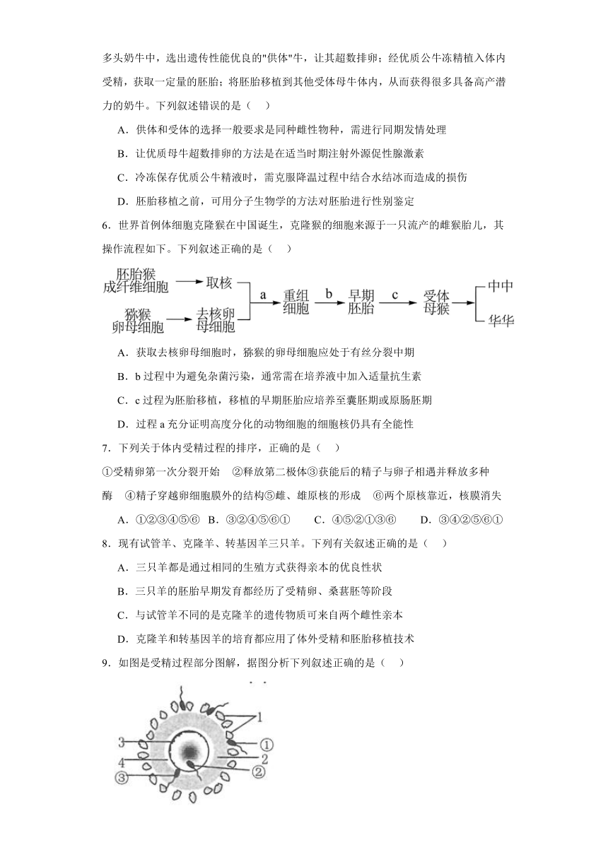 2.3胚胎工程同步练习2023-2024学年高二下学期生物北师大版选择性必修3（含解析）