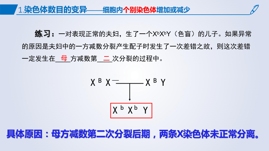 5.2染色体变异课件 (共54张PPT1份视频)生物人教版必修2