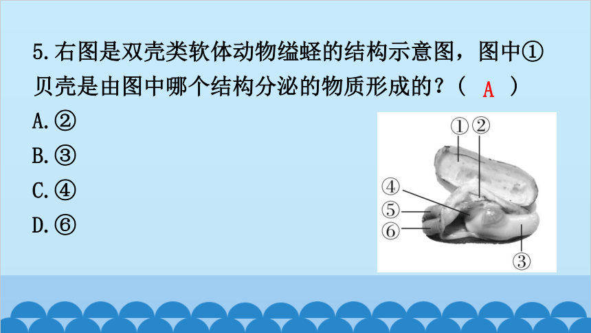 人教版生物八年级 第五单元第一至第三章过关训练课件(共44张PPT)