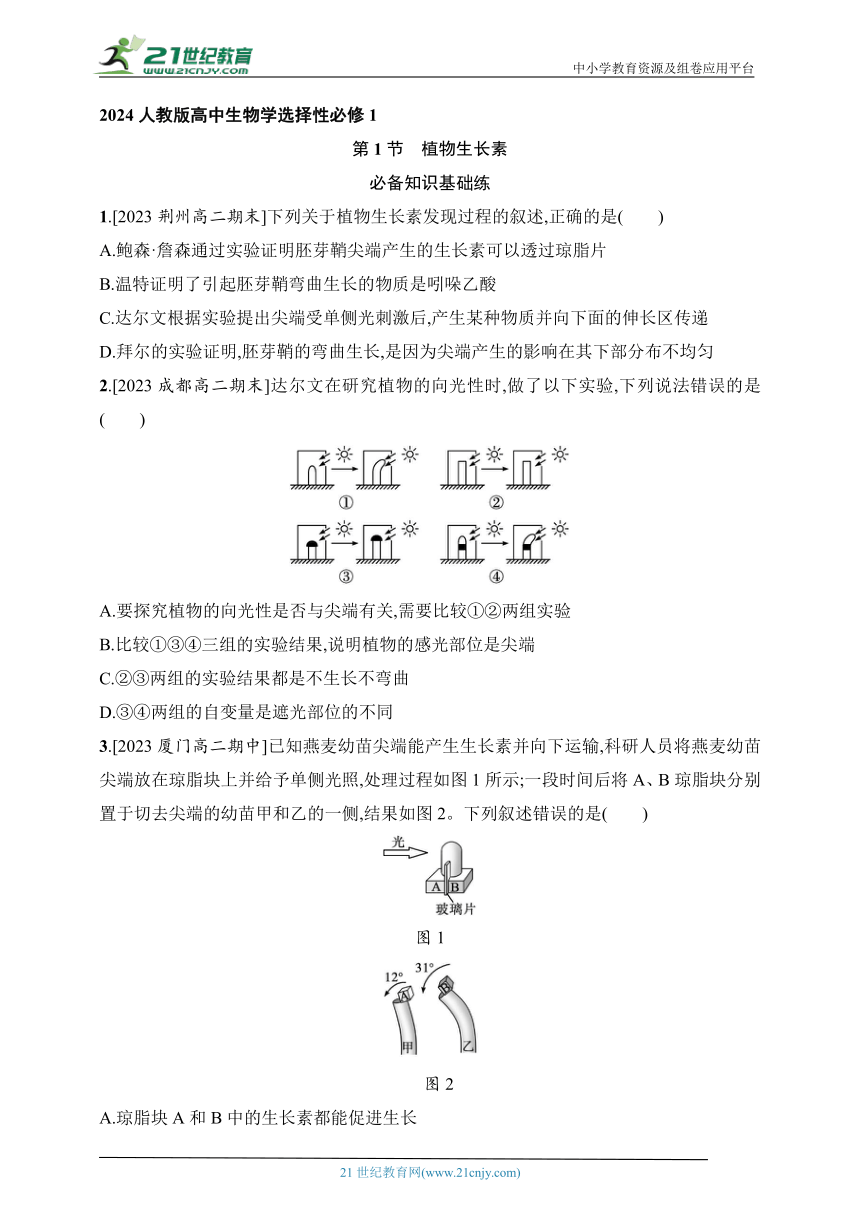 2024人教版(2019)高中生物学选择性必修1练习题--第1节　植物生长素（含解析）