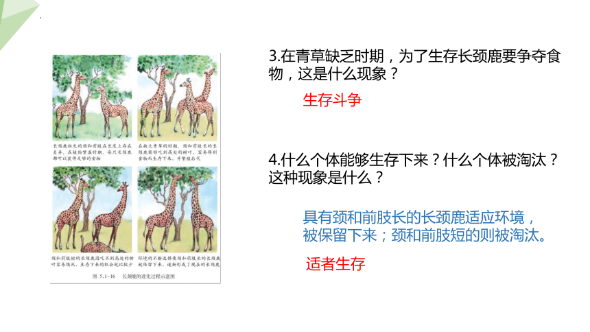 5.1.4  生物进化的原因  课件(共20张PPT)-2023-2024学年济南版生物八年级下册