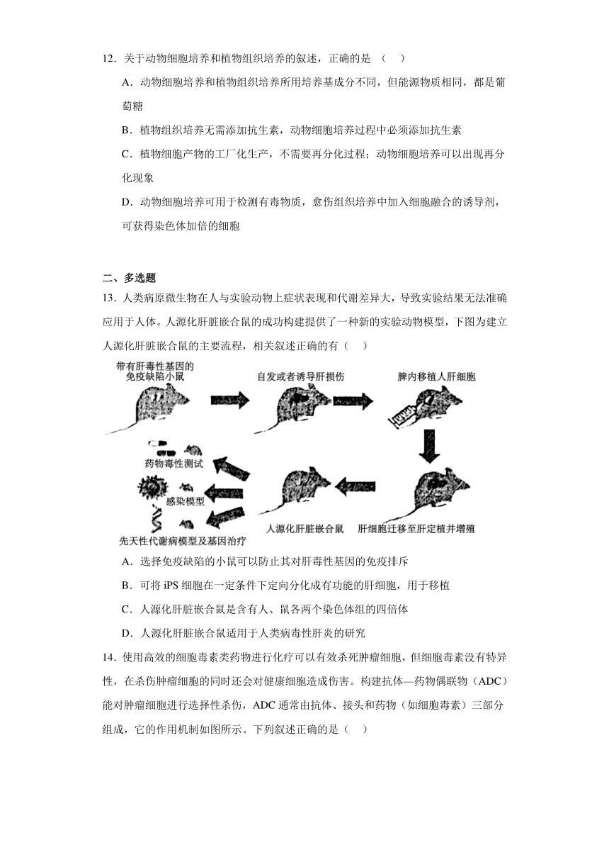 2.2利用动物细胞工程改良动物细胞（必刷练）-2023-2024学年高二生物（沪科版2020选择性必修3）（解析版）