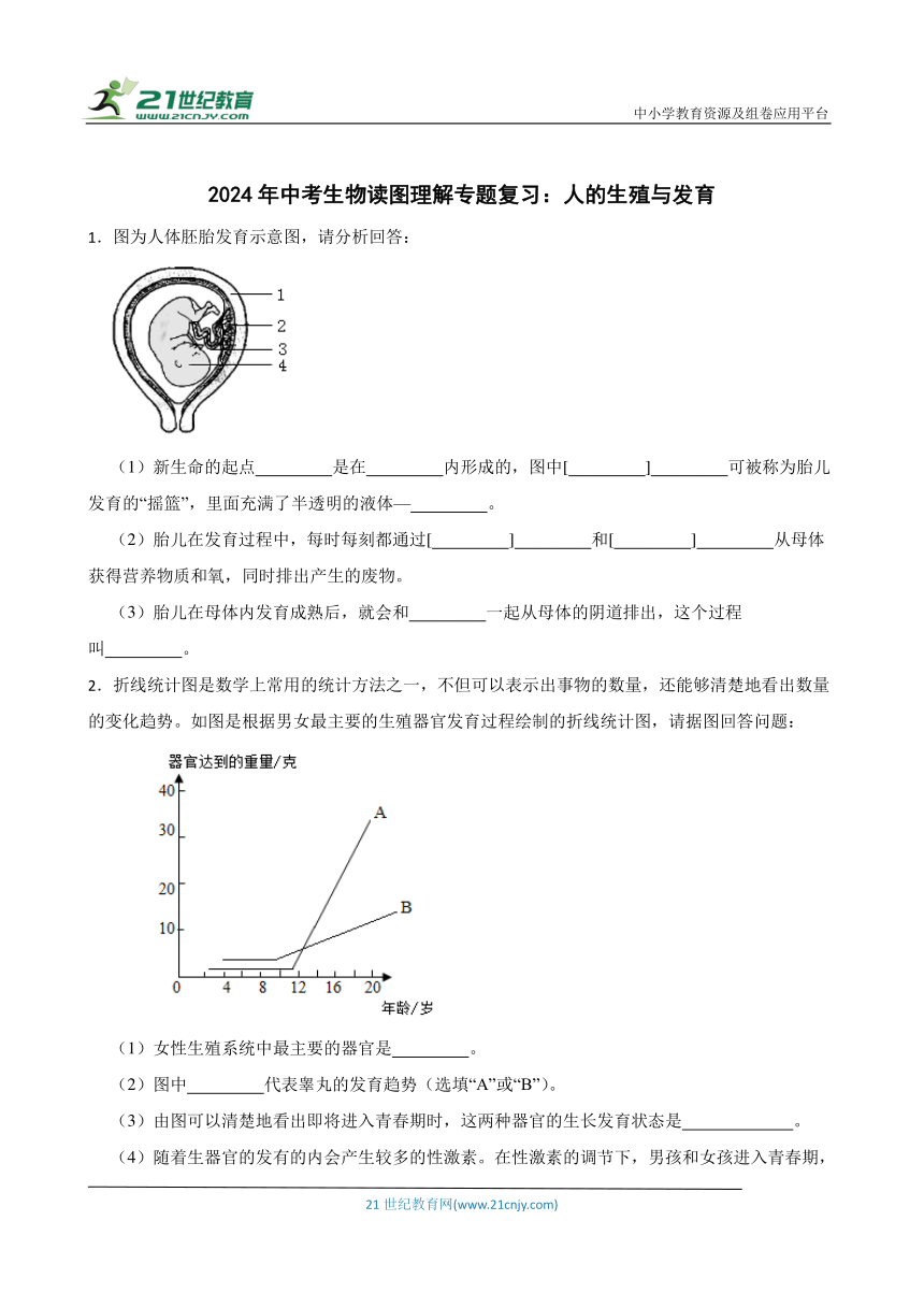 2024年中考生物读图理解专题复习：人的生殖与发育（含答案）