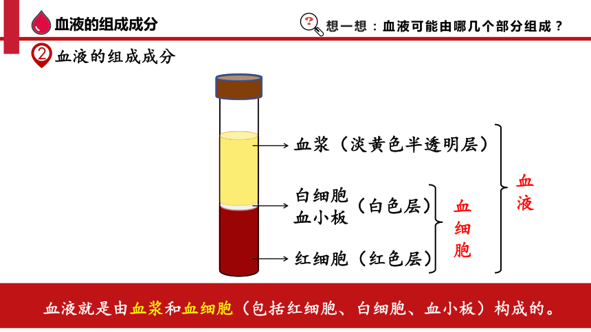 4.4.1 流动的组织——血液-2023-2024学年七年级生物下册同步精品课件（人教版）(共36张PPT)