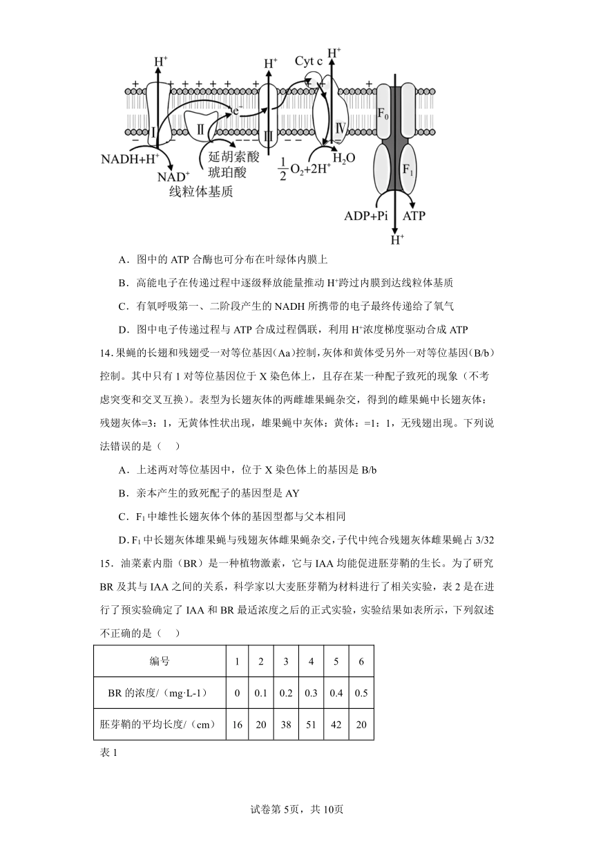 江西省上饶市2023-2024学年高三下学期第一次高考模拟考试生物试题（含解析）