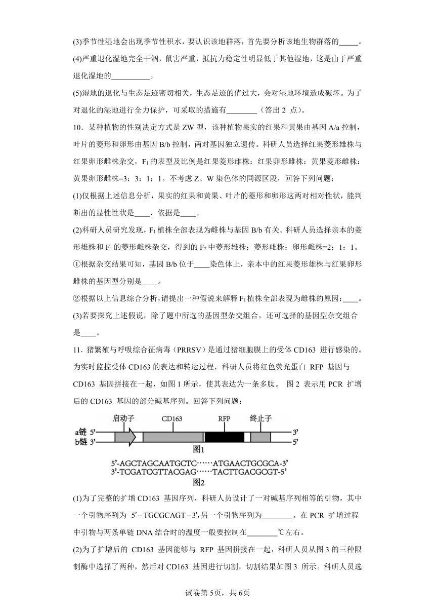 2024届山西省晋城市高三上学期第一次模拟考试理综生物试题A卷（解析版）