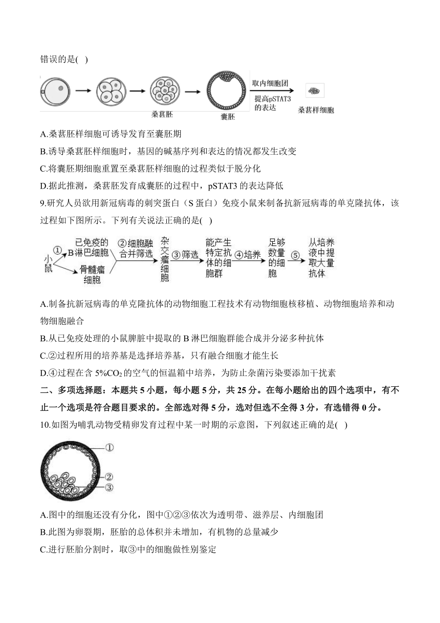 第二章 细胞工程—2023-2024学年高二生物学苏教版（2019）选择性必修三单元检测卷（B卷）（含解析）