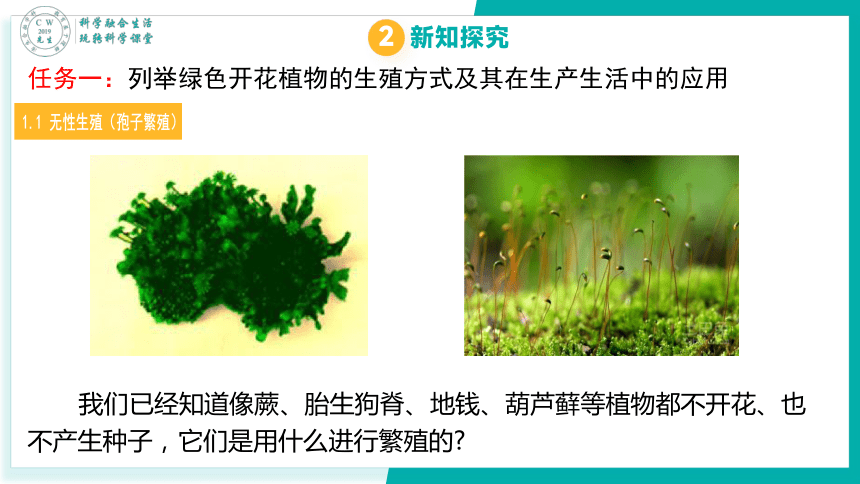 1.5 植物生殖方式的多样性（无性生殖）（课件 22张ppt）