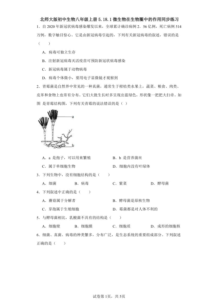 北师大版初中生物八年级上册5.18.1微生物在生物圈中的作用同步练习（含答案）