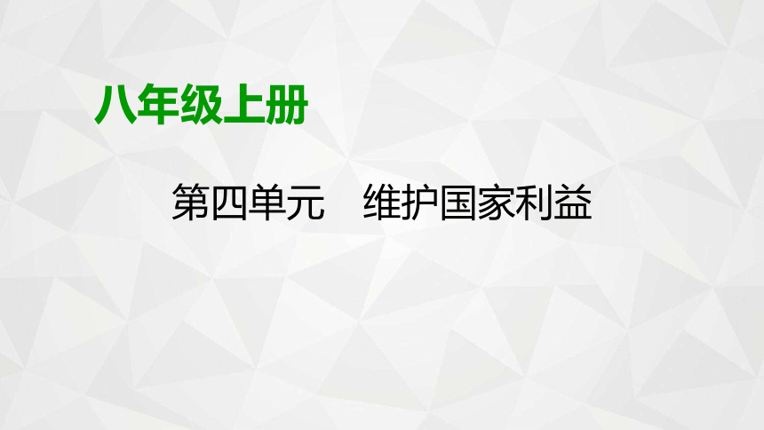 第四单元 维护国家利益 复习课件(共48张PPT)