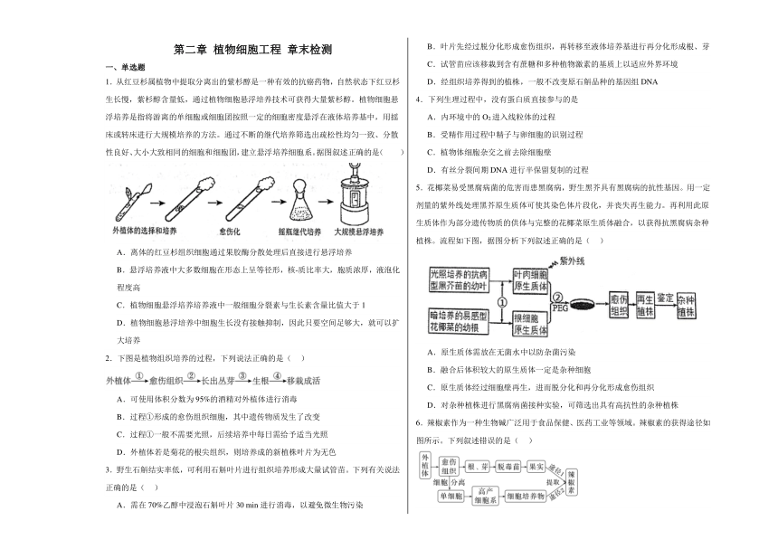 第二章 植物细胞工程 章末检测（含解析）