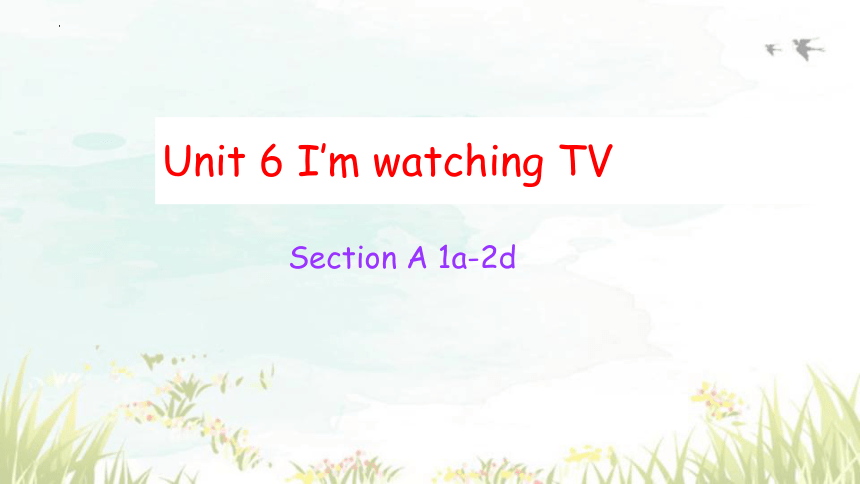 Unit 6 I'm watching TV.Section A 1a-2d 课件 2023-2024学年人教版七年级英语下册 (共40张PPT，含内嵌音频)