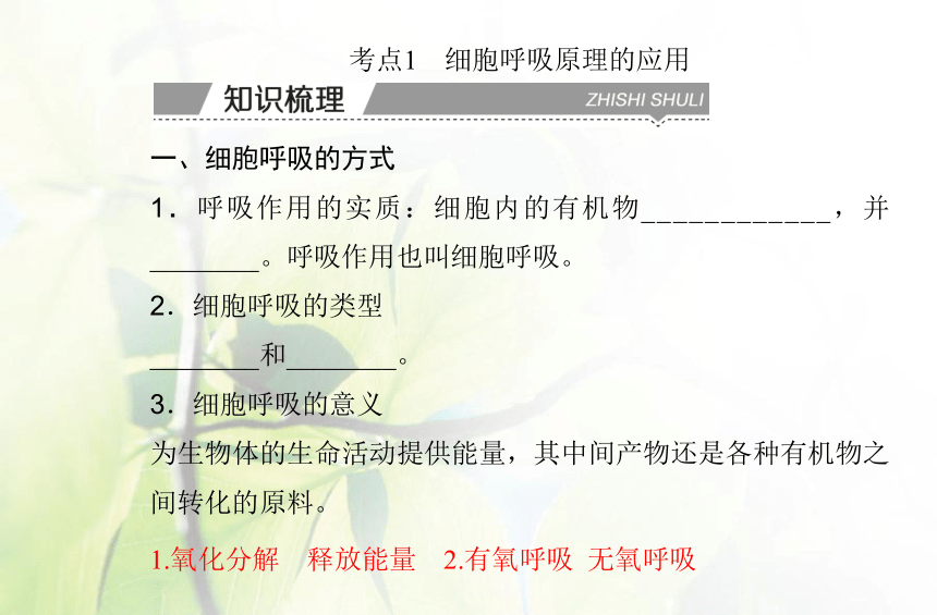 高中生物学业水平合格性考试复习专题四细胞代谢课件（共76张PPT）