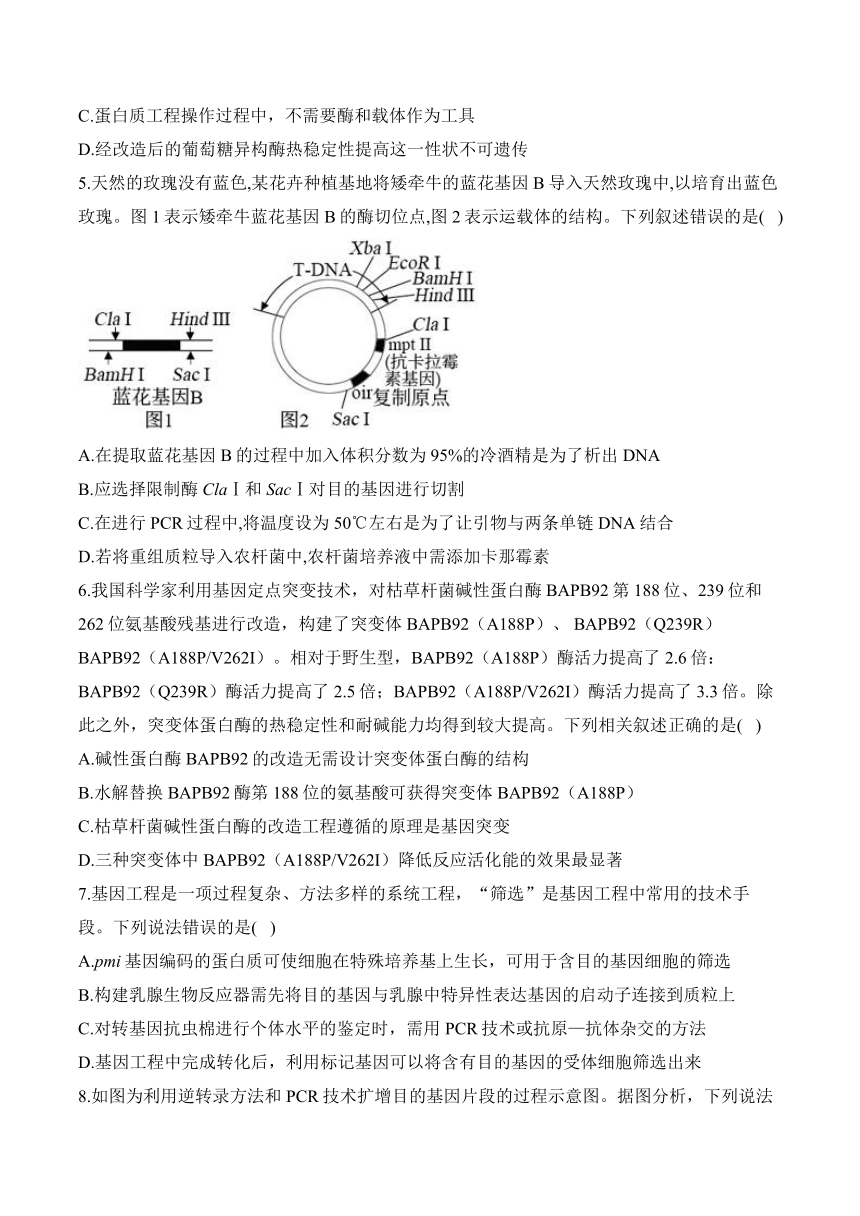 第三章 基因工程—2023-2024学年高二生物学苏教版（2019）选择性必修三单元检测卷（A卷）（含解析）