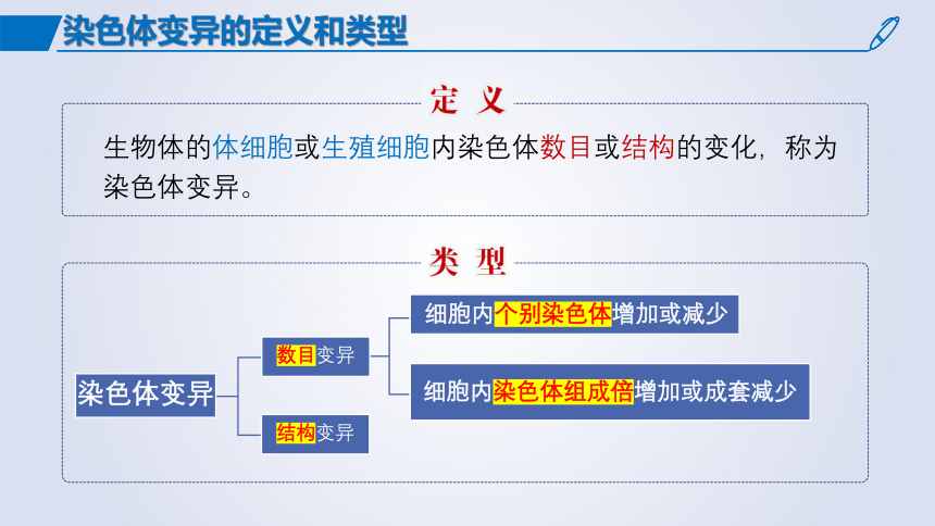 5.2染色体变异课件 (共54张PPT1份视频)生物人教版必修2