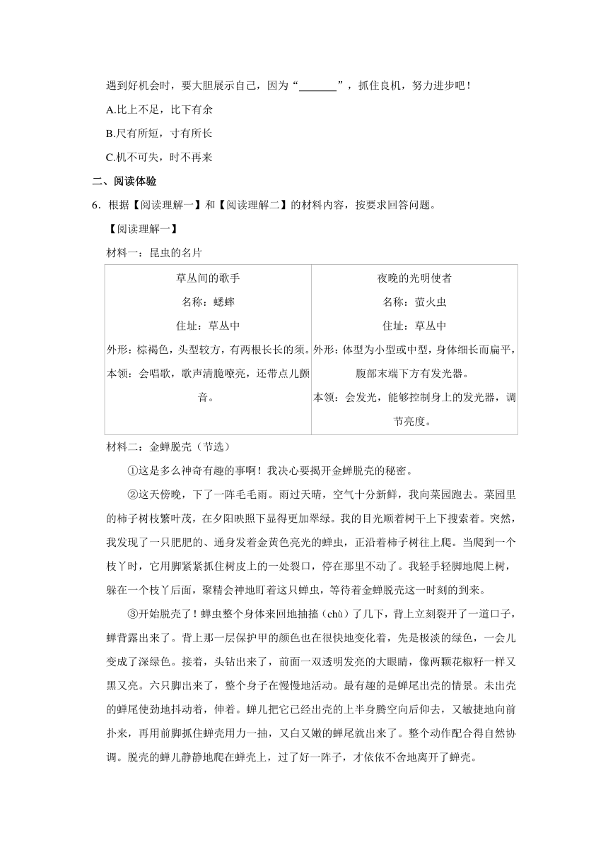 河南省郑州市金水区2023-2024学年四年级上学期期末语文试卷（含答案）