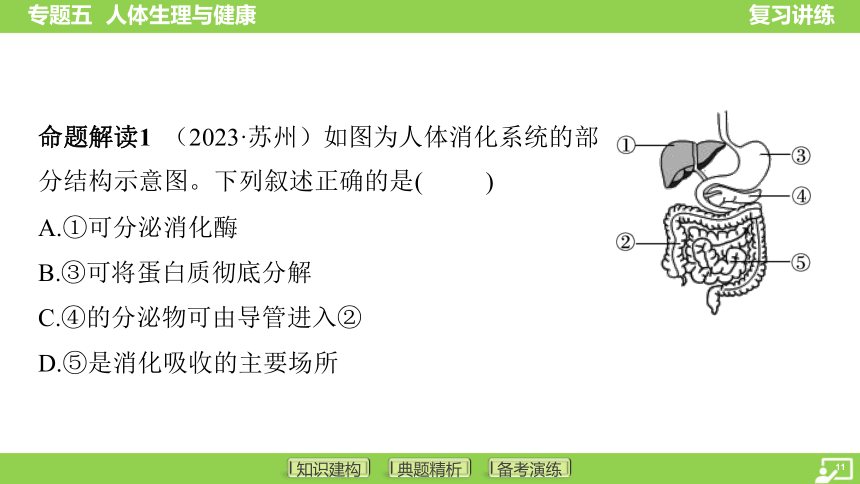 专题五 人体生理与健康课件(共71张PPT)2024年中考人教版生物复习