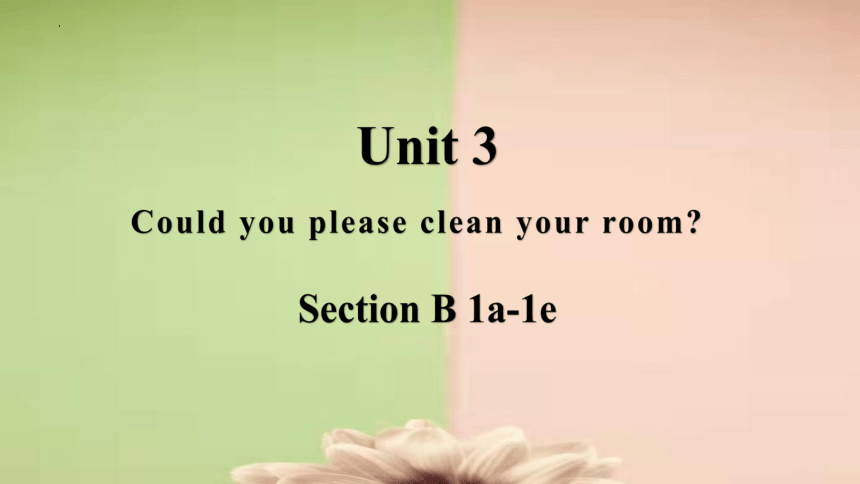 人教版八年级英语下册 Unit3 Could You Please Clean Your Room? Section B 1a-1e 课件(共 ...