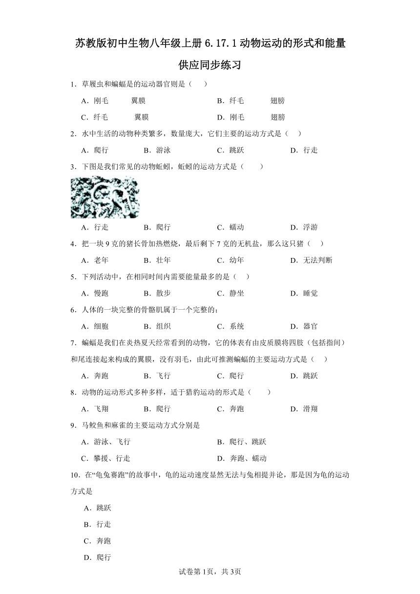 苏教版初中生物八年级上册6.17.1动物运动的形式和能量供应同步练习（含答案）