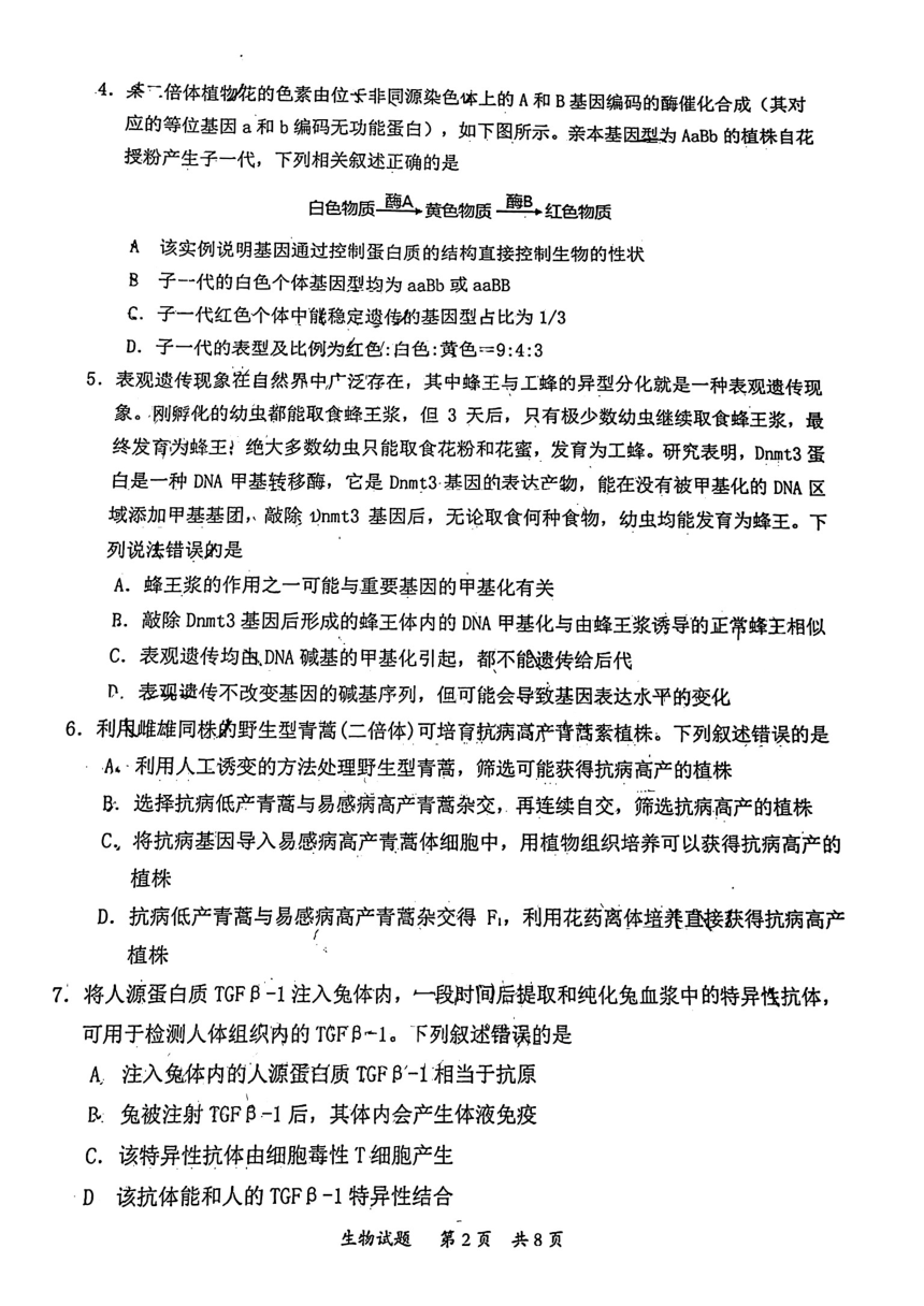 2024届广东省惠州市高三第一次调研考试生物试卷（pdf版含答案）