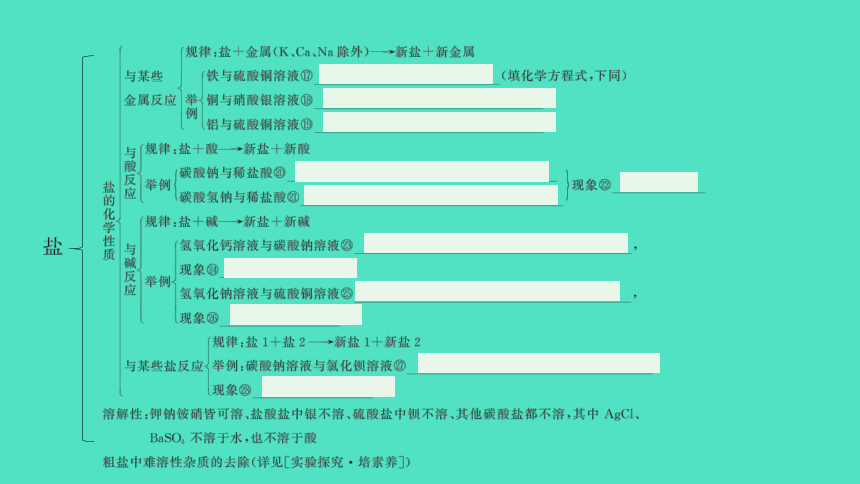 2024河北中考化学复习 板块一 主题7　盐和化肥(1.5~10分) 课件(共79张PPT)