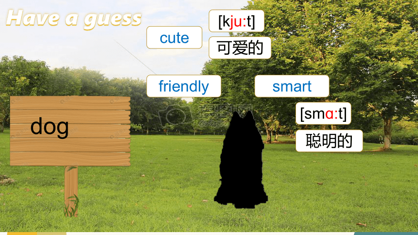 人教版七下Unit 5 Why do you like pandas?SectionA grammar focus-3c 课件+音频+视频