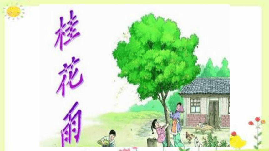 3《桂花雨》课件(共25张PPT)