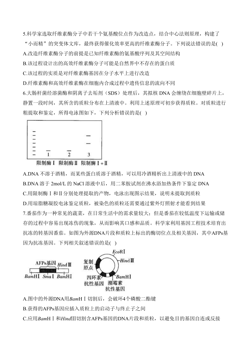 第三章 基因工程—2023-2024学年高二生物学苏教版（2019）选择性必修三单元检测卷（B卷）（含解析）