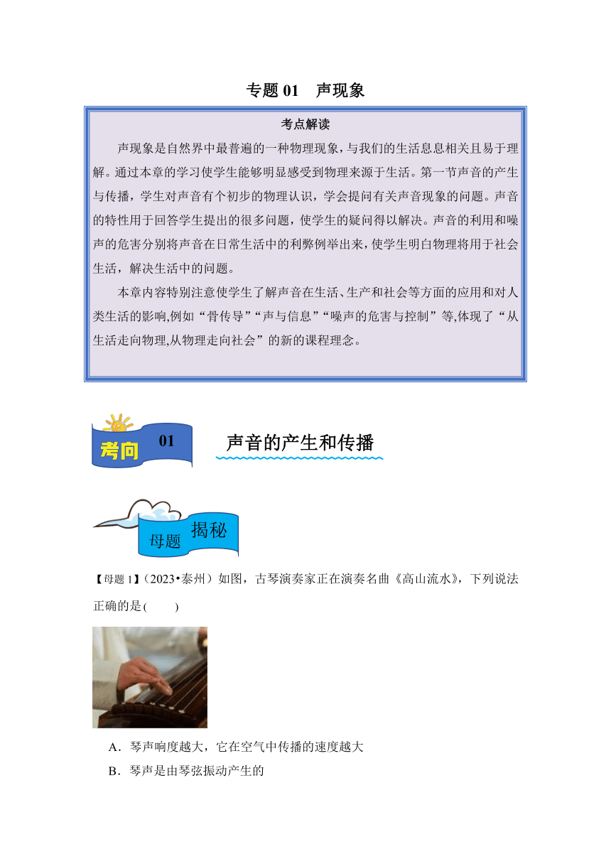 2024学年中考物理母题解密专题01声现象 讲义 （含解析）