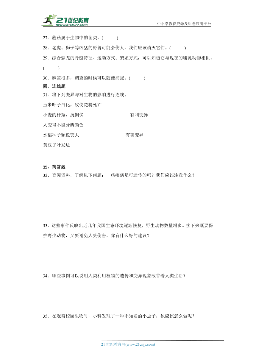 教科版六年级下册科学第二单元生物的多样性综合训练（含答案）