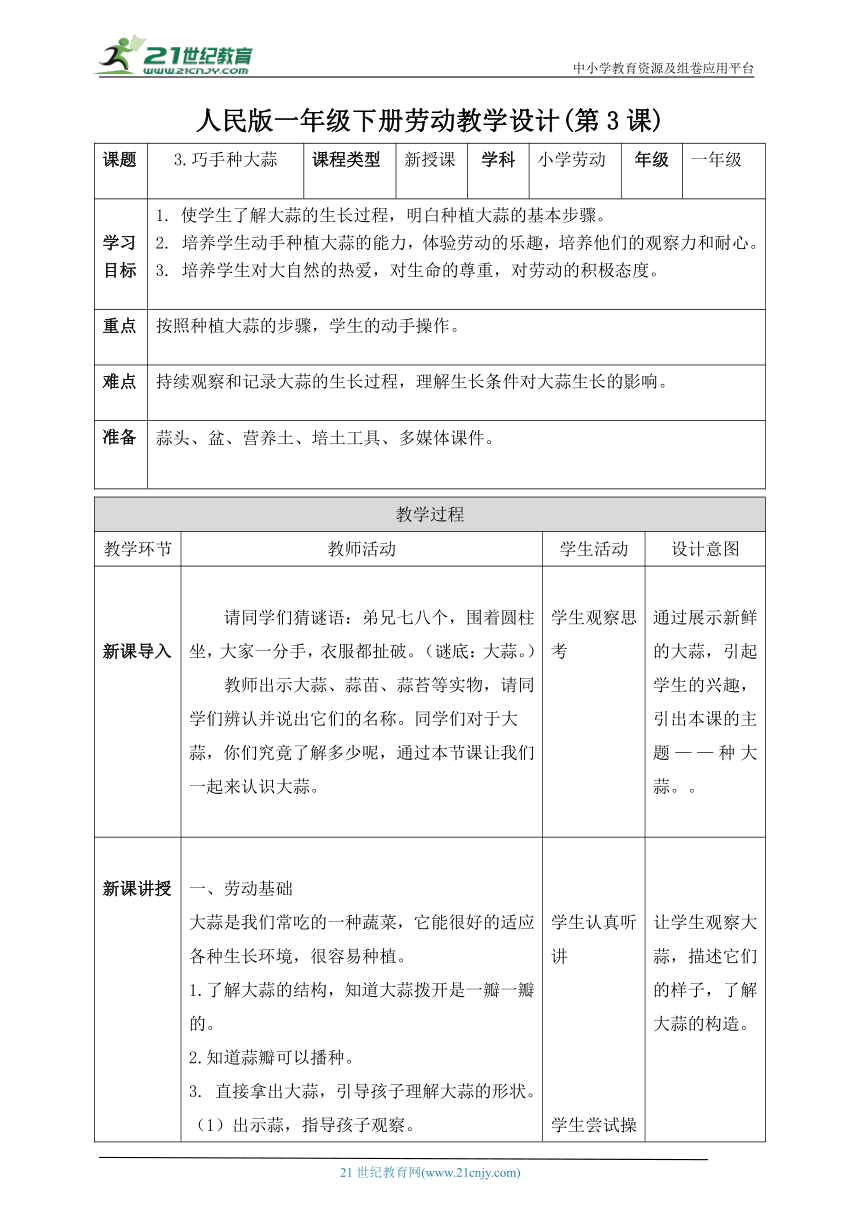 3.巧手种大蒜（教案）-人民版劳动一下同步高效备课 教案