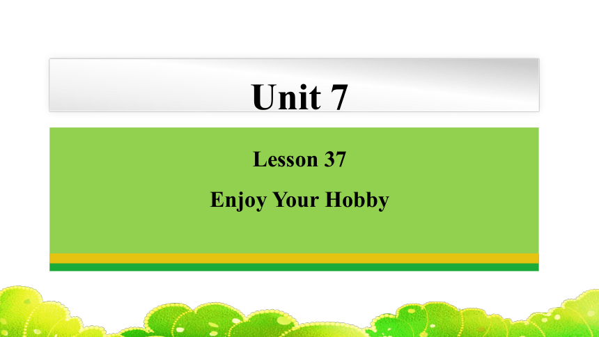 冀教版八年级上册Unit 7 Enjoy Your Hobby Lesson 37 What's Your Hobby ?课件(共30张PPT)