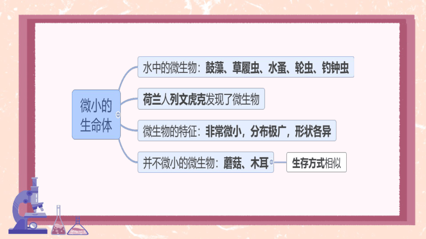 第一单元单元显微镜下的生命世界综合与测试  习题课件(共20张PPT)