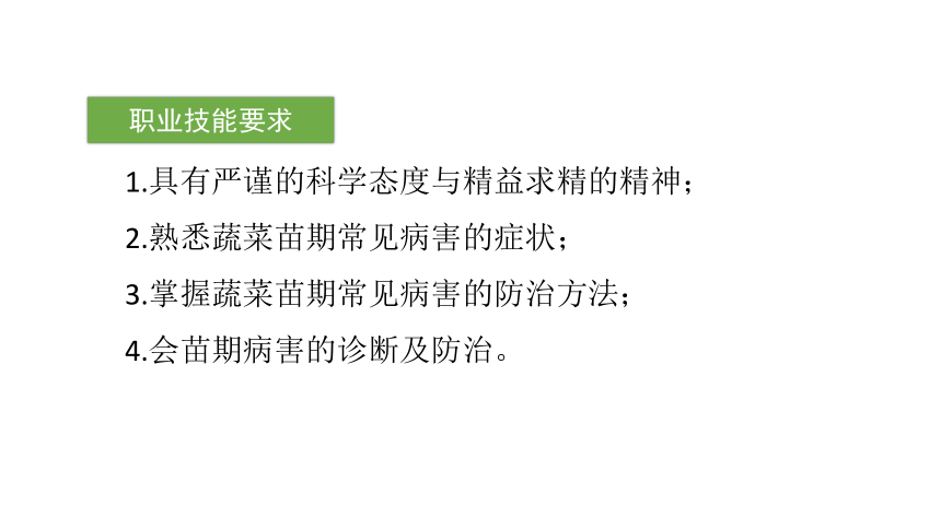 2.4.2穴盘苗常见侵染性病害诊断与防治 课件(共43张PPT)-《蔬菜生产技术》同步教学（中国农业出版社）