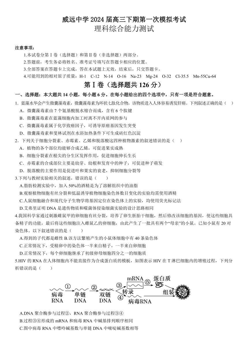 2024届四川省内江市威远中学校高三下学期第一次模拟考试理科综合试题（含答案）