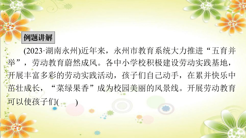 2024年中考道德与法治课件(共105张PPT)  题型指导和中考试题例析