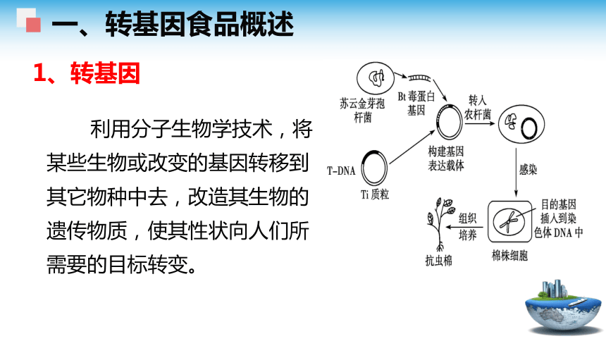 3.3转基因食品的安全性 课件(共48张PPT)- 《食品安全与控制第五版》同步教学（大连理工版）