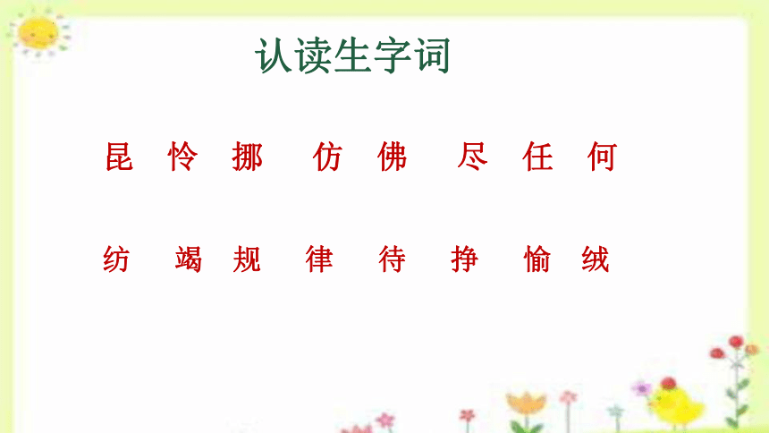 22 小毛虫 课件(共25张PPT)