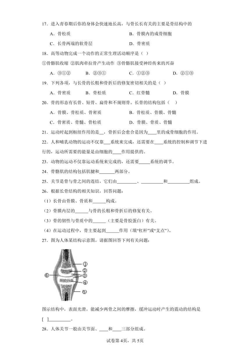 6.17.2动物的运动依赖于一定的结构同步练习（含答案）苏教版初中生物八年级上册