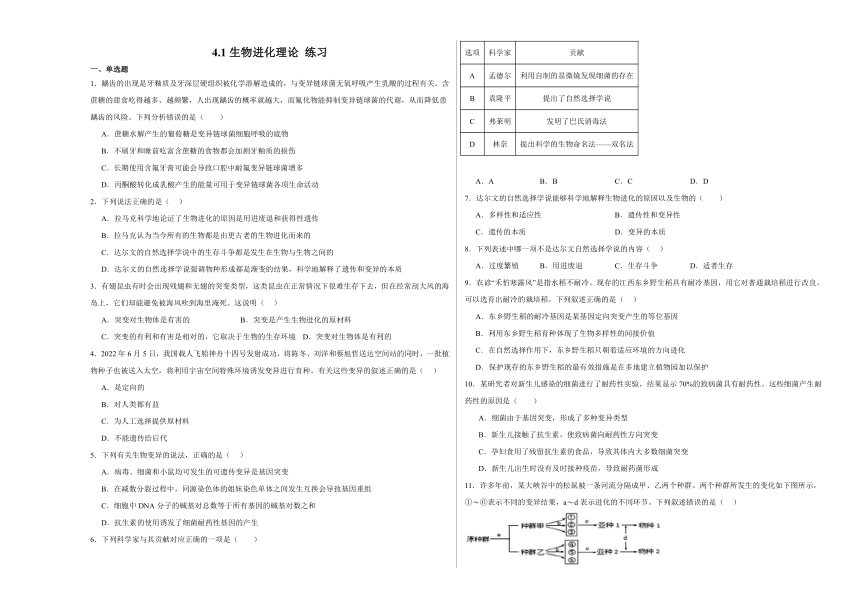 4.1生物进化理论 练习-2023-2024学年高一下学期生物苏教版（2019）必修2（含解析）