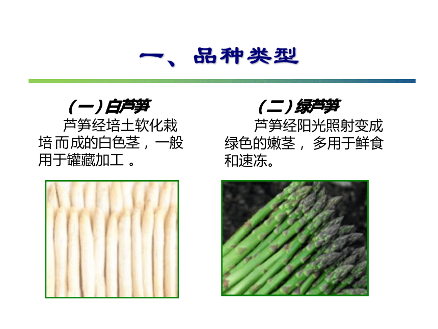 14.1 芦　笋 课件(共35张PPT)- 《蔬菜生产技术(南方本)》同步教学（中国农业大学出版社）